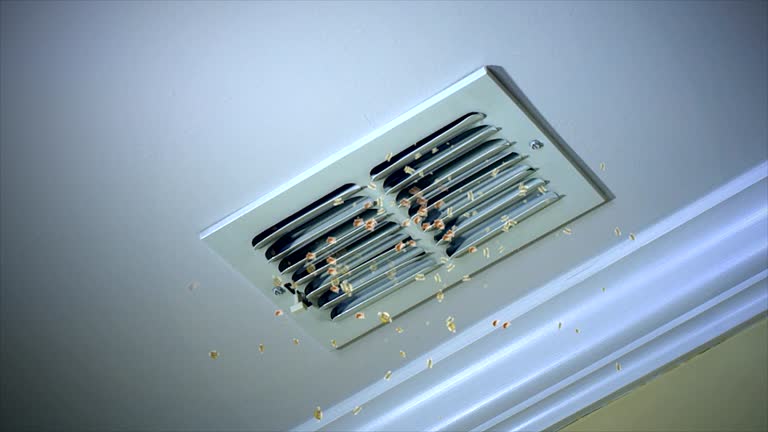 Best Affordable HVAC Duct Cleaning  in Carnegie, PA
