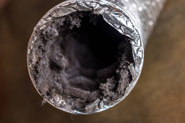 Best Ductwork Cleaning Services  in Carnegie, PA