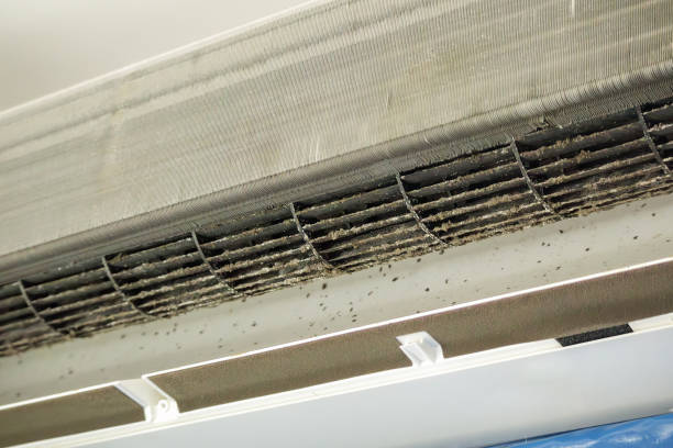 Best Air Duct Mold Removal  in Carnegie, PA
